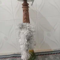 قلیون چوب گردو نو|کلکسیون و سرگرمی|نیشابور, چمبران|دیوار