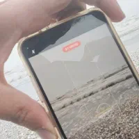 گوشی گم کردم