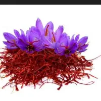 پخش گل زعفران