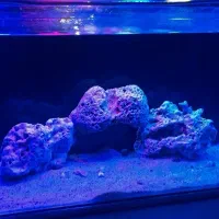 آکواریوم آبشور کامل