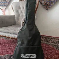 گیتار آموزشی