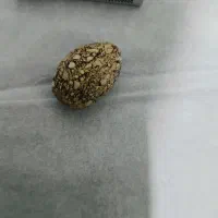 گردنی سنگ له له تیربندک بردجنس مخالف خوب