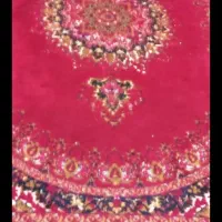 فرس ۱۲متری  سالم