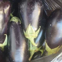 فروش بادمجان شیرین...کیلو 20تومن.فقط تناژ