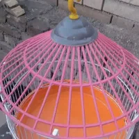 قفس|لوازم جانبی حیوانات|سبزوار, صالح آباد|دیوار