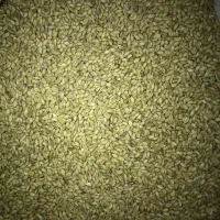 بذر گندم|گل و گیاه طبیعی|کلاله, |دیوار