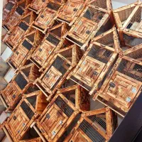 قفس چوبی مرغ عشق فنچ عروس هلندی طوطی برزیلی سنجاب|لوازم جانبی حیوانات|تهران, دهم فروردین|دیوار