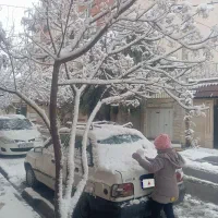 پرایدصبا82