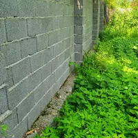 ۴۳۰۰ متر با بنای سنتی،معاوضه با ملک تهران یا کرج|فروش زمین و ملک کلنگی|آستانه اشرفیه, |دیوار