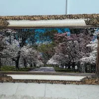 تابلو فرش بزرگ . زیبا . سالم