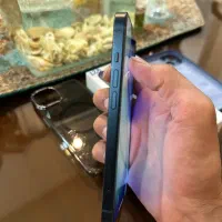 Apple iphone 13 normal|موبایل|تهران, شاهین|دیوار