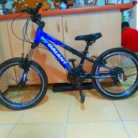 دوچرخه حرفه ای سایز ۲۰