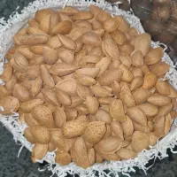 فروش گردوی تویسرکان|خوردنی و آشامیدنی|رشت, بلوار گیلان|دیوار