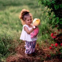 عکاسی و فیلم‌برداری حرفه‌ای ای