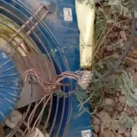 فن در حد نو|پنکه و تصفیهکنندهٔ هوا|گنبد کاووس, |دیوار