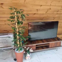 اجاره کلبه با استخر ۲ خواب در رامسر|اجارهٔ کوتاهمدت ویلا و باغ|رامسر, |دیوار