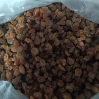 کشمش اشعاری|خوردنی و آشامیدنی|شیروان (خراسان), |دیوار
