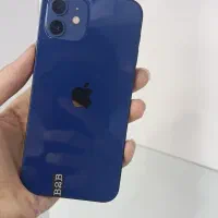 12 normal