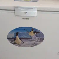 دو عدد فریزر صندوقی 300لیتری XLINE|فروشگاه و مغازه|فورگ, |دیوار