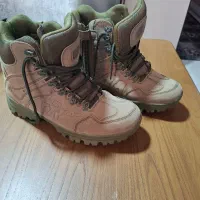 کفش کوه نوردی و پیاده روی