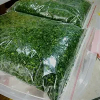 سبزی قورمه و کوکو آماده طبخ|خوردنی و آشامیدنی|سبزوار, شهرک جهاد|دیوار