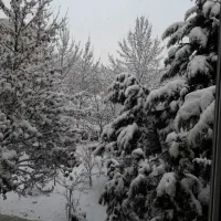 فروش پارس با نورگیر عالی