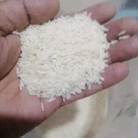 برنج هاشمی