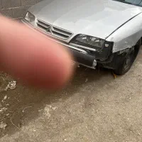 زانتیا۸۵دوررنگ