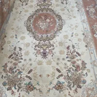 ۲ عدد فرش ۶ متری|فرش|رشت, پستک|دیوار