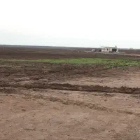 فروش-زمین-کشاورزی-و-چاه-آب-شیش-دانگ-مناسب-کشاورزی