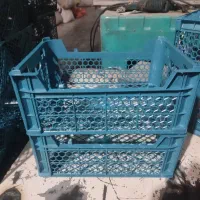 نیروی کار تحصیلات دیپلم جهت اپراتور دستگاه|استخدام صنعتی، فنی، مهندسی|شیراز, شهرک صنعتی شیراز|دیوار