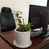 کمک حسابدار