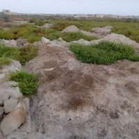 زمین