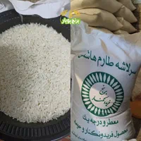 سرلاشه برنج طارم هاشمی کشت اول فریدونکنار امساله|خوردنی و آشامیدنی|اصفهان, پروین|دیوار