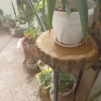 ساخت و طراحی چوب