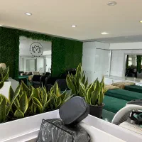 اجاره تخت و صندلی خاقانی