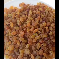 گردو.کشمش شیروان خراسان تضمینی|خوردنی و آشامیدنی|یزد, |دیوار