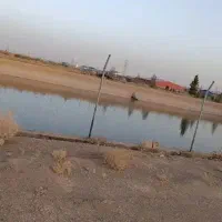 20سهام بادام کاری