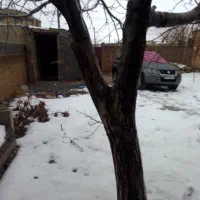 فروش تابلو نقاشی و محل نقاشی