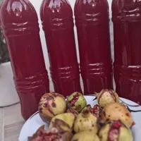 اب غوره،اب انار امساله طبیعی ورب انار ترش ملس|خوردنی و آشامیدنی|رشت, منظریه|دیوار