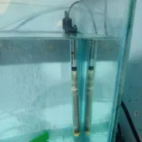 لوازم ماهی وآکواریوم|ماهی|تربتحیدریه, باغ ملی|دیوار