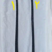 شلاق اسب سواری