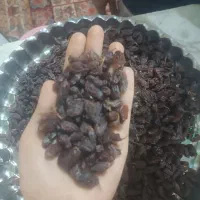 کشمش و مویز|خوردنی و آشامیدنی|باغستان, |دیوار