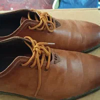 کفش مردانه چرمی|کیف، کفش، کمربند|قم, چهل درخت|دیوار