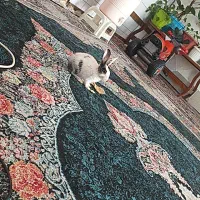 خرگوش با قفس