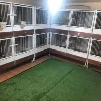 قفس مرغ و خروس