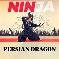 آموزش هنر های رزمی نینجا