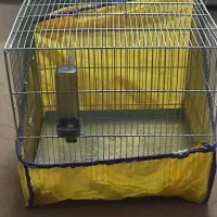 دوعدد قفس غلامی سهره سایز 3در حد