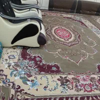 دوتا فرش ۱۲متری|فرش|رامهرمز, |دیوار