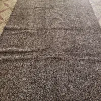 موکت پرز بلند